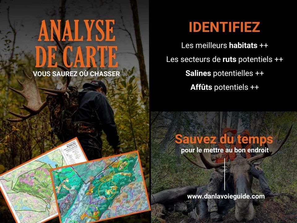 Analyse De Cartes Danlavoieguide